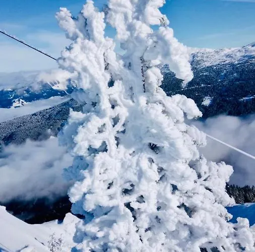 호텔 Gartenhotel Garni 인스브루크