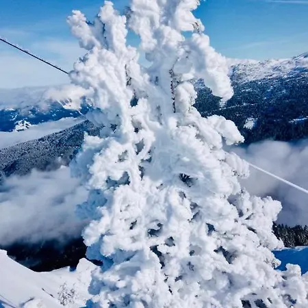 Отель Gartenhotel Garni Инсбрук